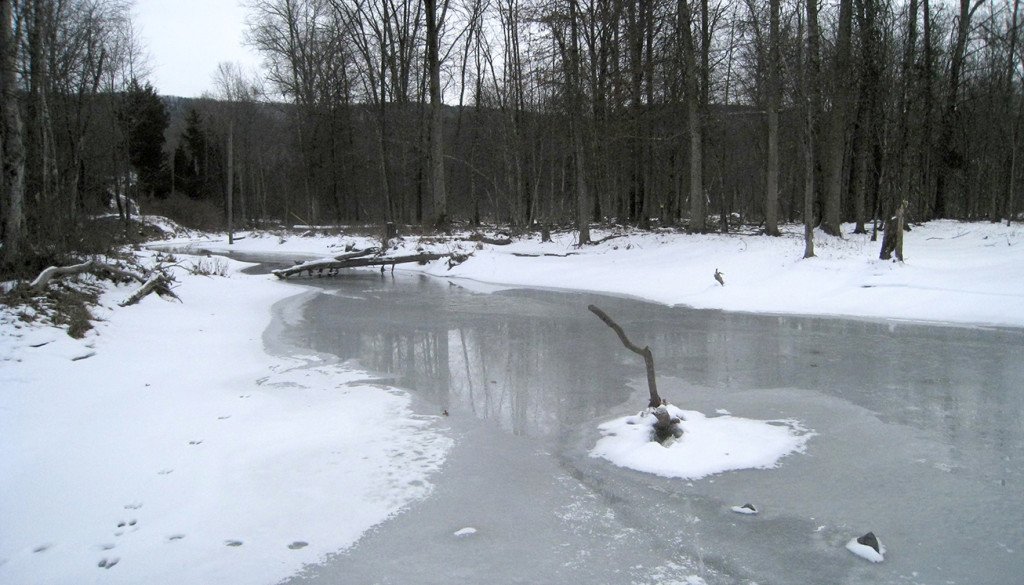 Ice-covered streams will soon melt and spring will return!