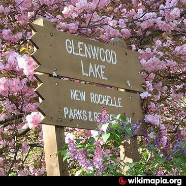 Keeping Glenwood Park Green With Poison Ivy Removal Services in New Rochelle